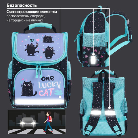 Ранец ПИФАГОР BASIC, 1 отделение, 3 кармана, эргономичная спинка, "Funny cats", 35х28х18 см, 273135