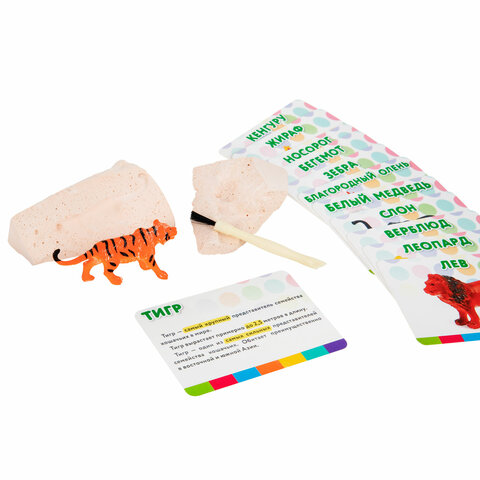 Набор для раскопок "Дикие животные", 12 видов, карточки, инструменты, BRAUBERG KIDS, 665128