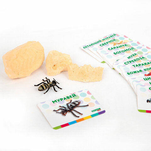 Набор для раскопок "Насекомые", 12 видов, карточки, инструменты, BRAUBERG KIDS, 665127