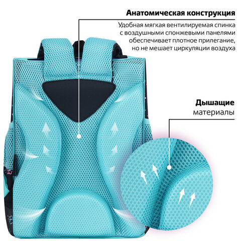 Ранец ПИФАГОР BASIC, 1 отделение, 3 кармана, эргономичная спинка, "Funny cats", 35х28х18 см, 273135