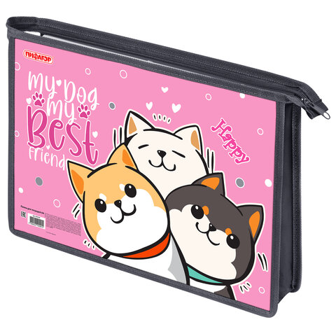 Папка для тетрадей ПИФАГОР А4, 1 отделение, картон/пластик, на молнии, "Best team", 272124