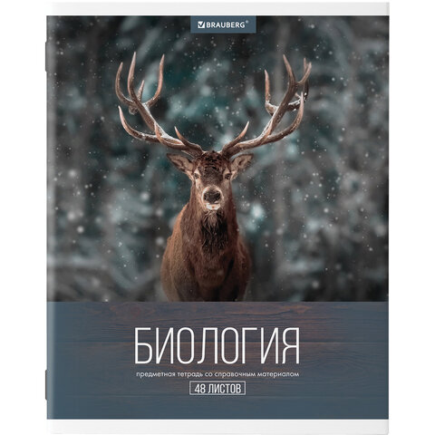 Тетради предметные, КОМПЛЕКТ 10 ПРЕДМЕТОВ, 48 л., обложка картон, BRAUBERG, "КЛАССИКА XXI", 404025