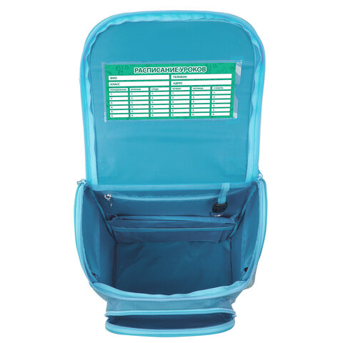 Ранец ПИФАГОР BASIC, 1 отделение, 3 кармана, эргономичная спинка, "Funny cats", 35х28х18 см, 273135