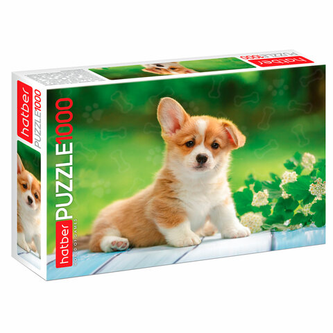 Пазл картонный 1000 элементов АССОРТИ, 10 дизайнов, 480х680 мм, HATBER