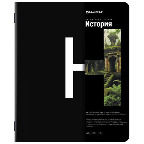 Тетради предметные, КОМПЛЕКТ 12 ПРЕДМЕТОВ, 48 л., матовая ламинация, BRAUBERG, "INTELLIGENCE", 404845