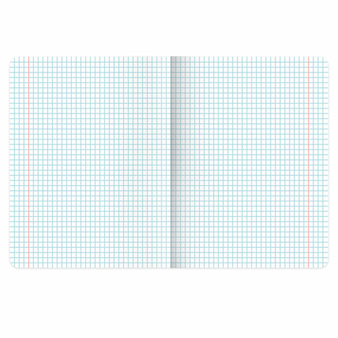 Тетради предметные, КОМПЛЕКТ 12 ПРЕДМЕТОВ, 48 л., TWIN лак, BRAUBERG "ASIA", 405174