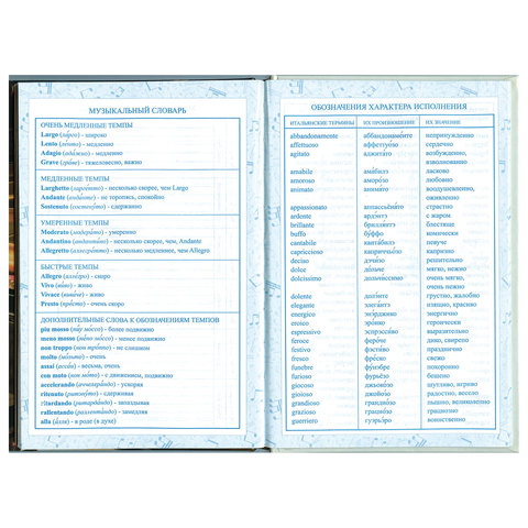 Дневник для музыкальной школы 140х210 мм, 48 л., твердый, BRAUBERG, справочный материал, "Концерт", 103279