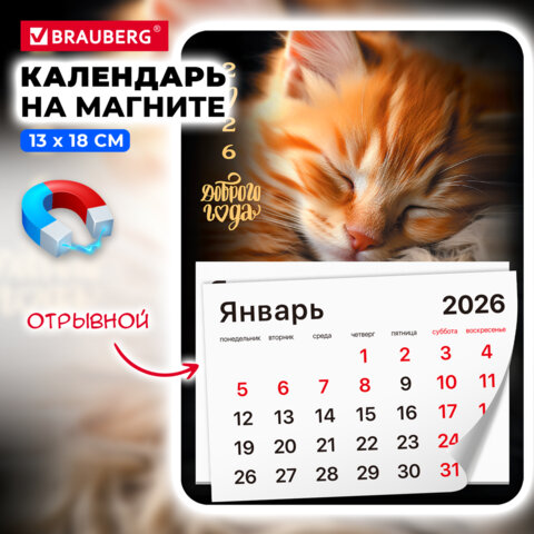 Календарь отрывной на магните на 2026 г., BRAUBERG, 130x180 мм, склейка, "Котик", 117289