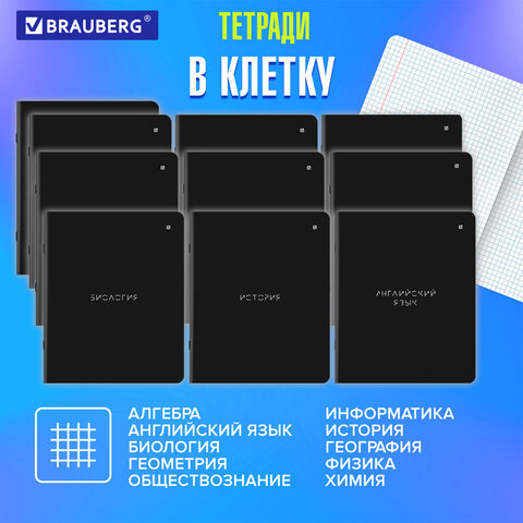 Тетради предметные, КОМПЛЕКТ 12 ПРЕДМЕТОВ, 48 л., матовая ламинация, BRAUBERG, "MINIMAL", 404831