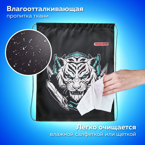 Мешок для обуви ПИФАГОР, 1 отделение, 42х34 см, "White tiger", 272389