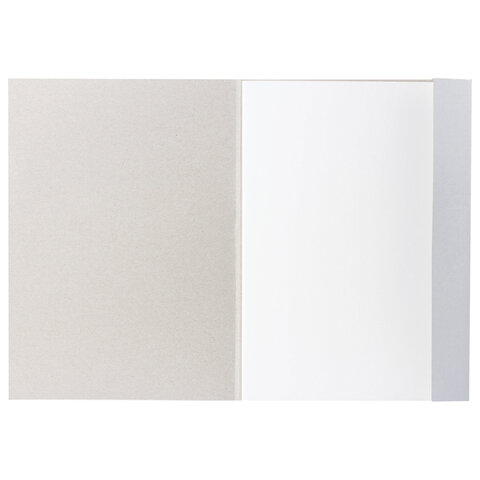 Папка для черчения А4, 210х297 мм, 20 л., 160 г/м2, без рамки, BRAUBERG (2 вида), 125235