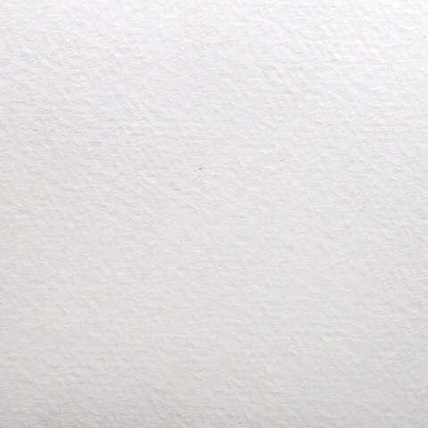 Папка для акварели А4, 10 л., 200 г/м2, бумага ГОЗНАК, среднее зерно, "Флора", П-0279