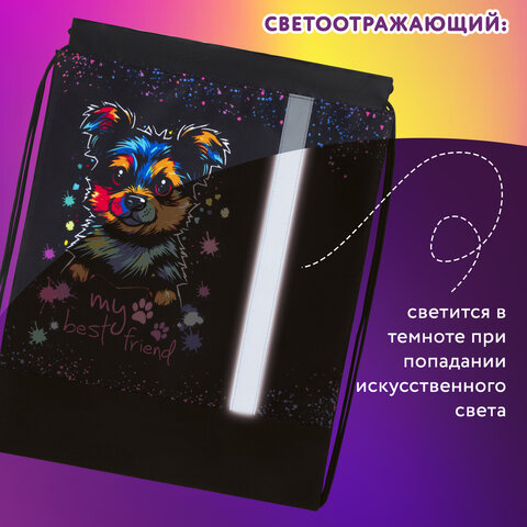 Мешок для обуви ЮНЛАНДИЯ, плотный, светоотражающая полоса, 46х36 см, "True friend", 272410