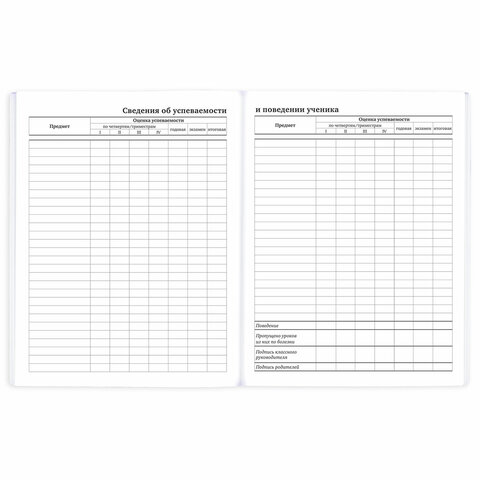 Дневник 1-11 класс 40 л., на скобе, ПИФАГОР, обложка картон, "Совушки", 106814