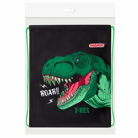 Мешок для обуви ПИФАГОР, 1 отделение, 42х34 см, "Dino roar", 272387