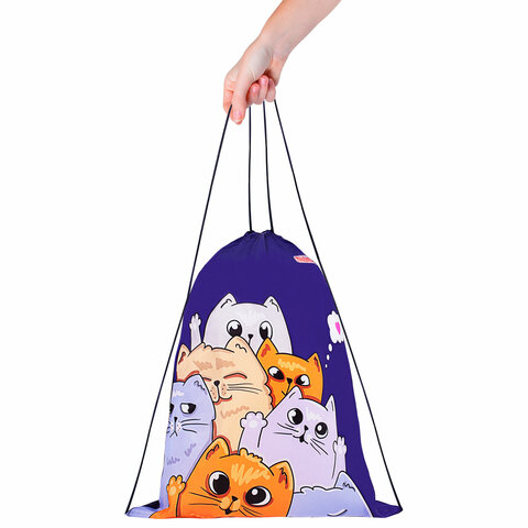 Мешок для обуви ПИФАГОР, 1 отделение, 42х34 см, "Cats greetings", 272382