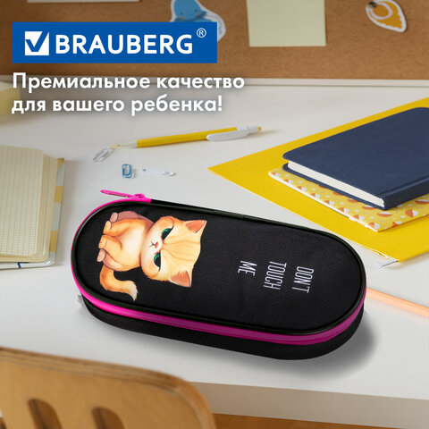 Пенал-футляр BRAUBERG, 1 отделение, органайзер, полиэстер, 22x9х5 см, "Angry kitty", 273566