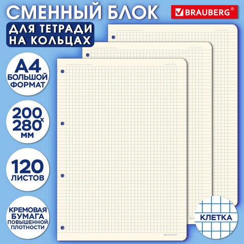 Сменный блок для тетради на кольцах БОЛЬШОЙ ФОРМАТ А4 120 л., BRAUBERG, ПОВЫШЕННОЙ ПЛОТНОСТИ, кремовый, 404517