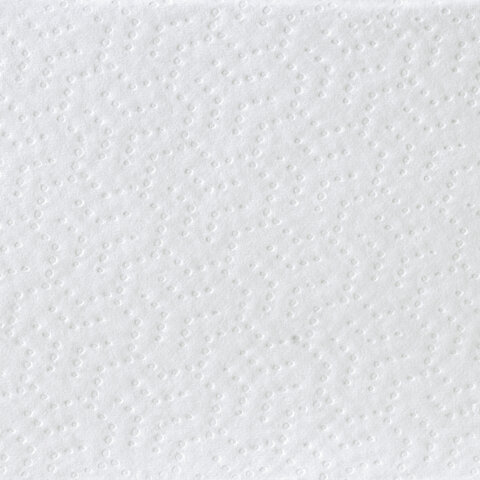 Полотенца бумажные 200 шт., LAIMA (H2) ADVANCED WHITE, 2-слойные, белые, КОМПЛЕКТ 20 пачек, 24х21,5, Z-сложение, 111338
