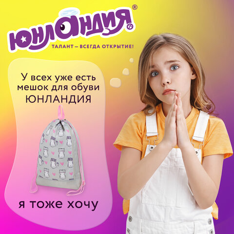 Мешок для обуви ЮНЛАНДИЯ с ручками, боковой карман на молнии, 46х36 см, "Kitties", 272407