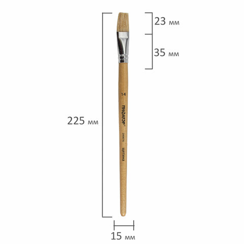 Кисть ПИФАГОР, ЩЕТИНА, плоская, № 14, деревянная лакированная ручка, пакет с подвесом, 200876