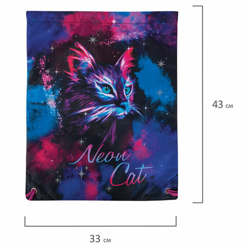 Мешок для обуви BRAUBERG PREMIUM, карман, подкладка, светоотражайка, 43х33 см, "Neon cat", 271621