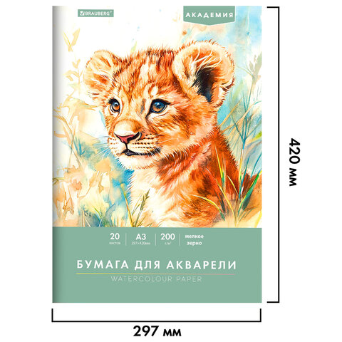 Папка для акварели БОЛЬШАЯ А3, 297х420 мм, 20 листов, 200 г/м2, BRAUBERG АКАДЕМИЯ (ДЭК) "Львёнок", 117745