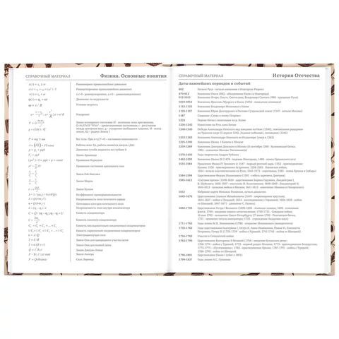 Дневник 5-11 класс 48 л., твердый, BRAUBERG, выборочный лак, с подсказом, "Магия", 106885