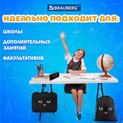 Папка на молнии с ручками А4, мешок для обуви 42х33 см, пенал 20х10 см, "Black cat" НАБОР BRAUBERG, 271434