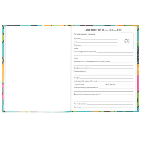 Дневник 5-11 класс 48 л., твердый, BRAUBERG, блестки, с подсказом, "Avocado", 106419