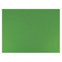 Бумага (картон) для творчества (1 лист) SADIPAL &quot;Sirio&quot; А2+ (500х650 мм), 240 г/м2, зеленый мох, 787